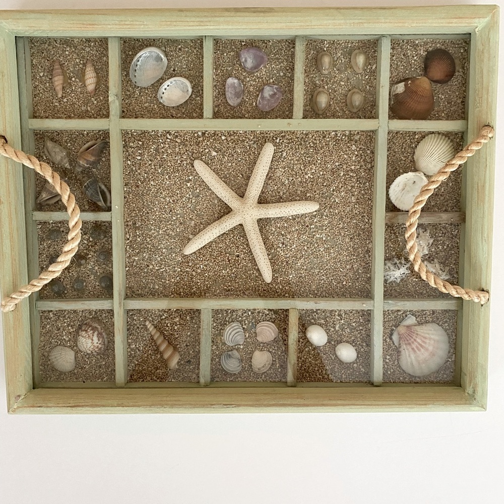 Shadowbox Tray Seashell Collection Mint Green Washed Wood Rope Handles - Picture 3 of 8